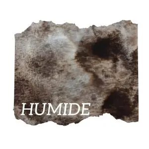 Humus – Aquarelle artisanale duochrome