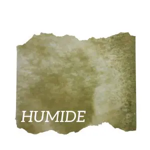 Viriditas – Aquarelle artisanale duochrome verte