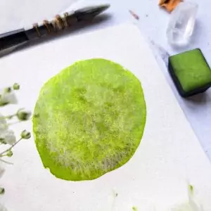 Sauge – Aquarelle artisanale duochrome