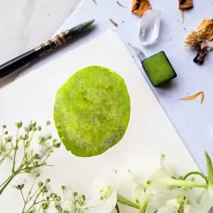 Sauge – Aquarelle artisanale duochrome